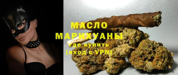гидра Верхний Тагил