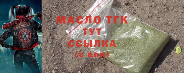 гидра Верхний Тагил