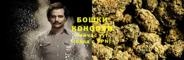 гидра Верхний Тагил