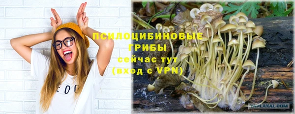 гидра Верхний Тагил