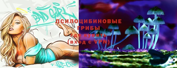 гидра Верхний Тагил